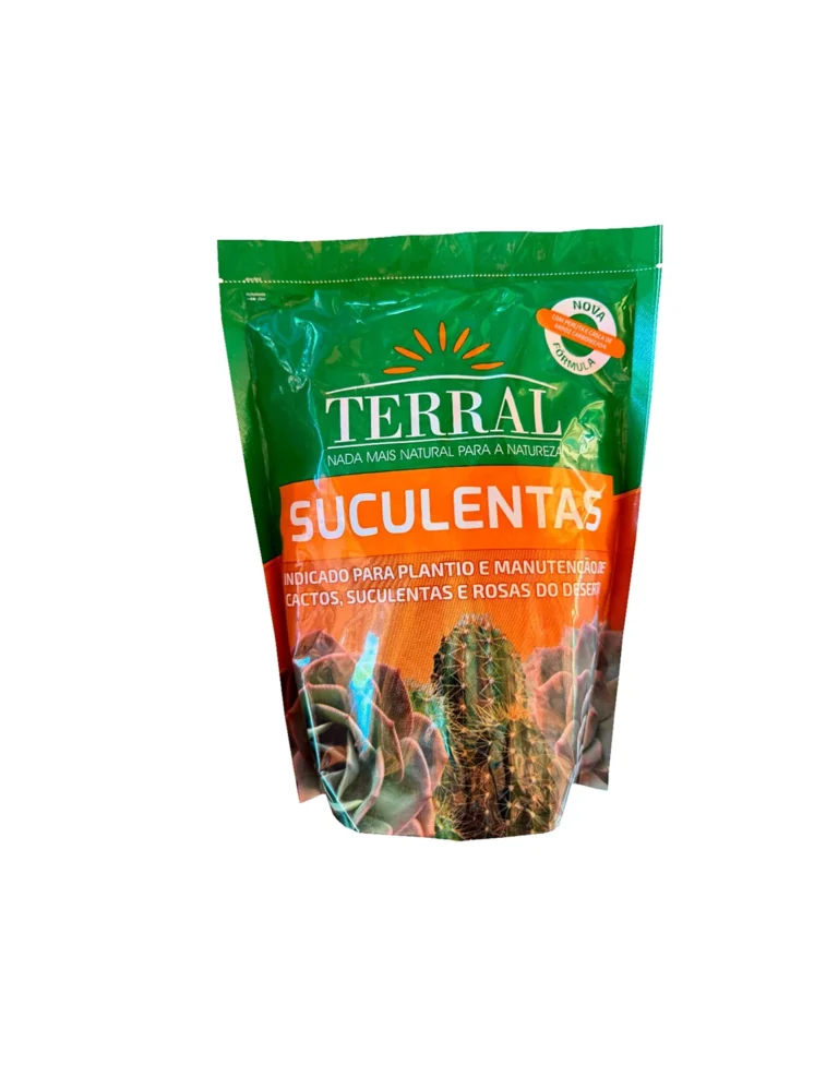 Cactos e Suculentas 8