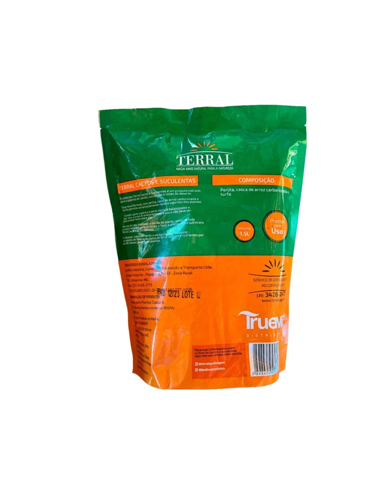 Cactos e Suculentas 9