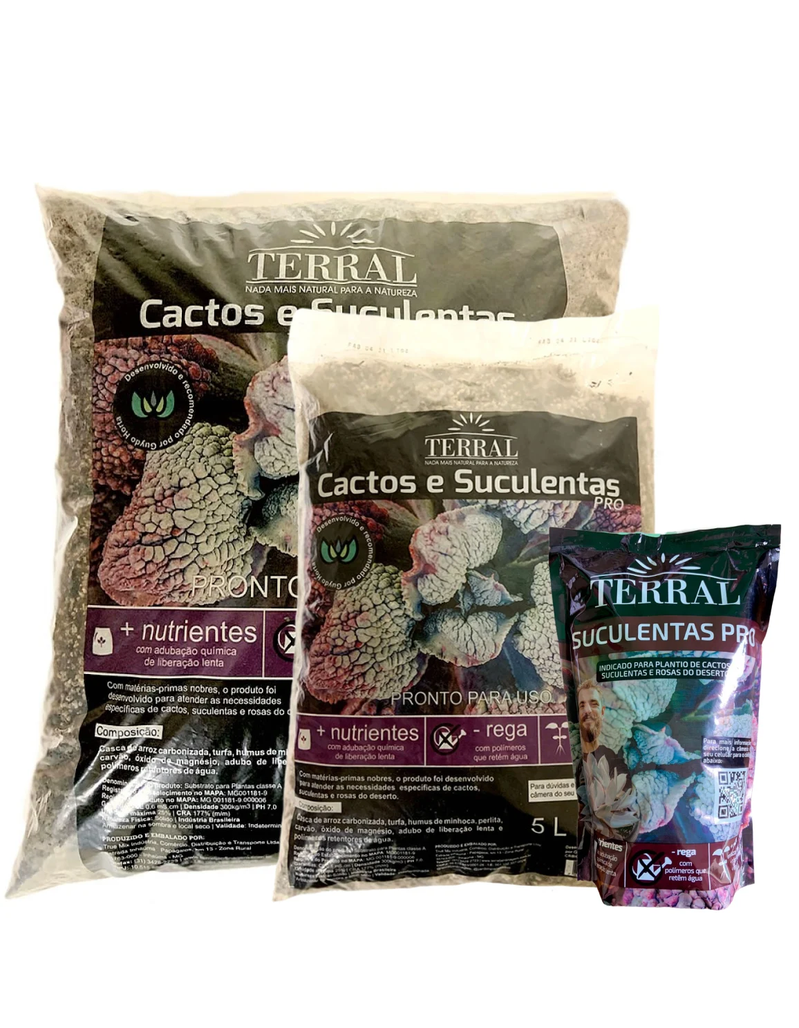 Cactos e Suculentas PRO 7