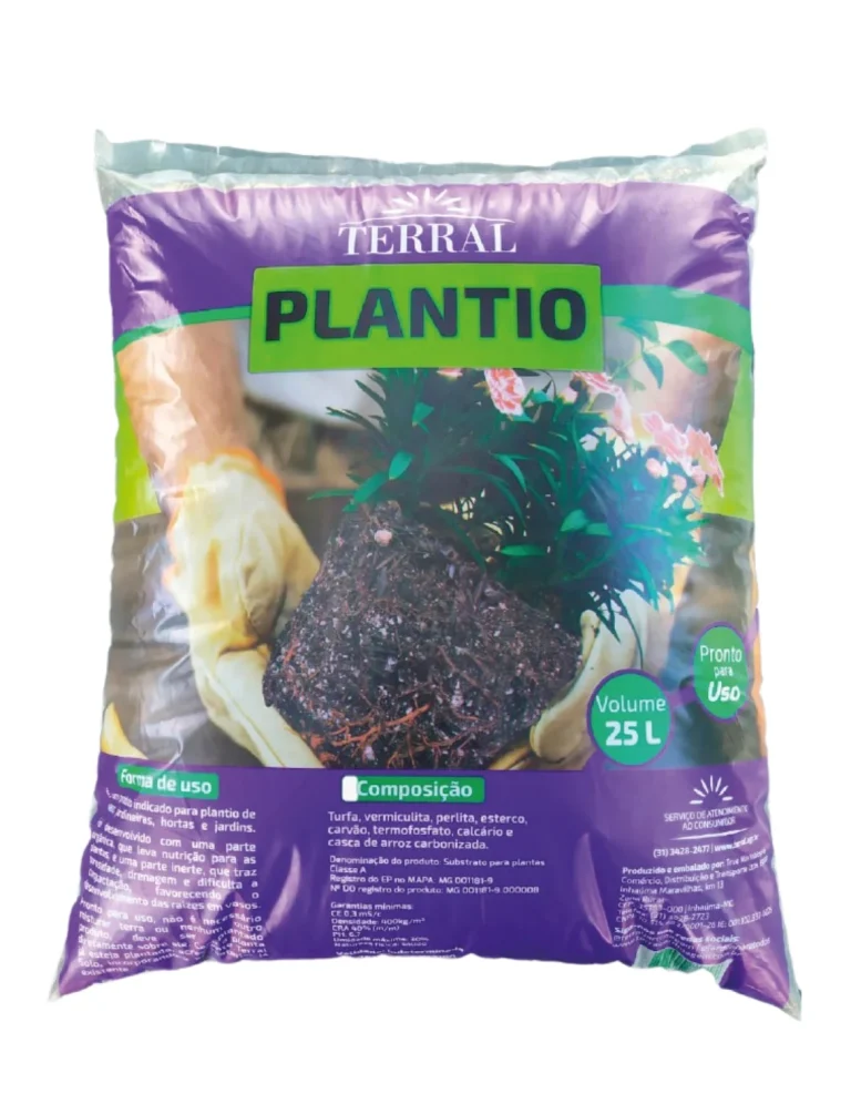 Plantio 4