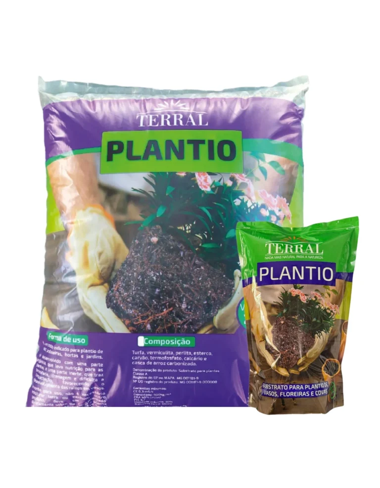 Plantio 7