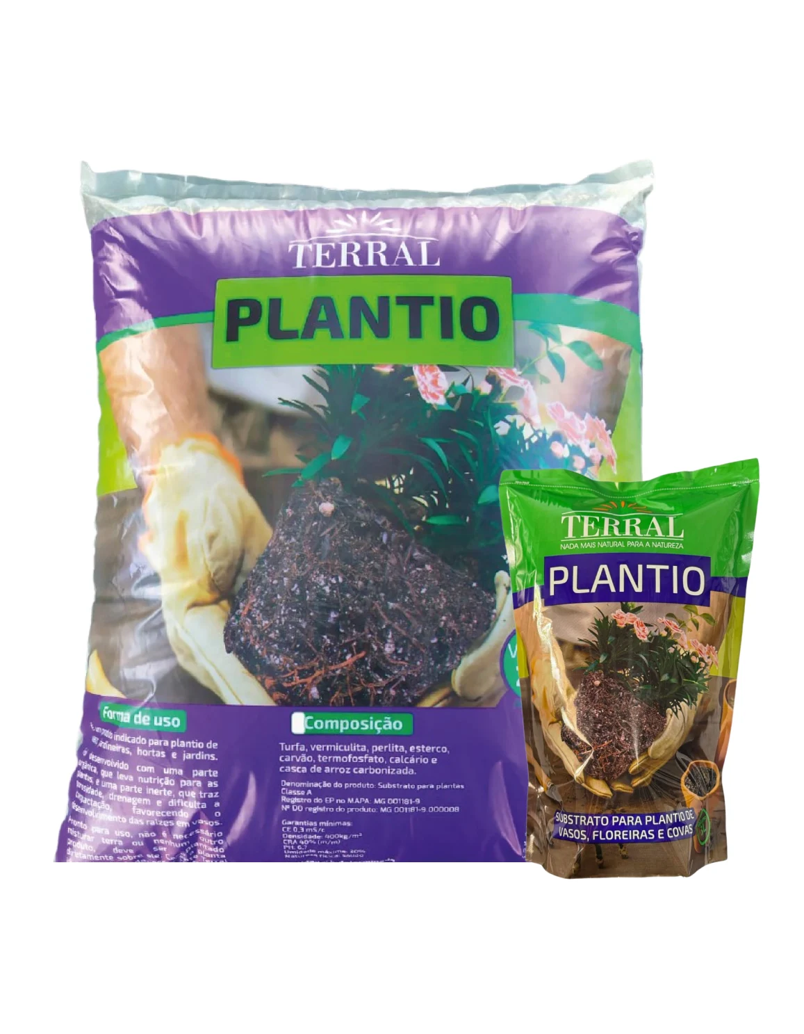 Plantio 7