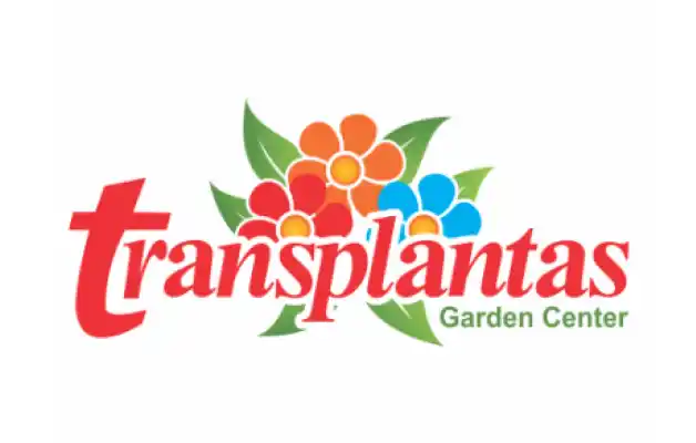 Transplantas